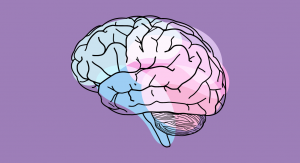 Gráfica con un fondo de color morado y al medio un cerebro con diferentes colores según el área del cerebro